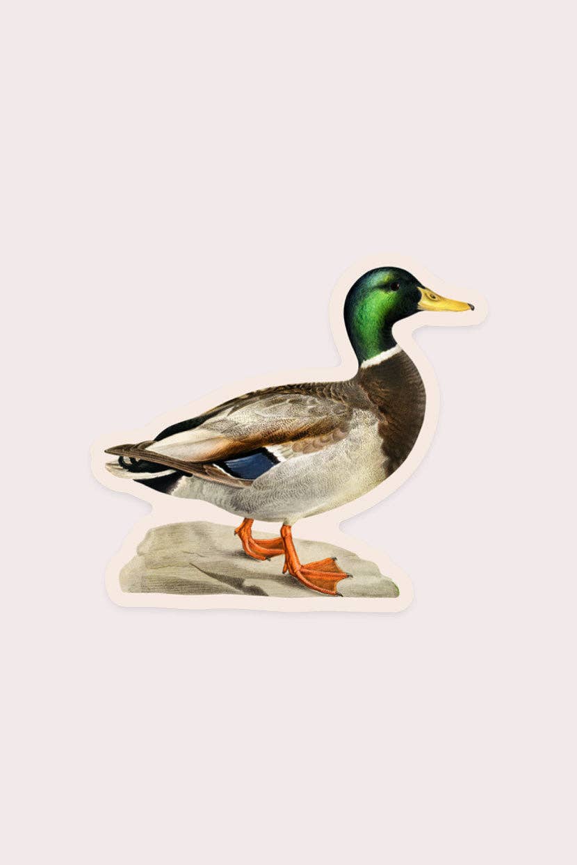 Stay Home Club - MEASURED MALLARD Gap Filler Sticker