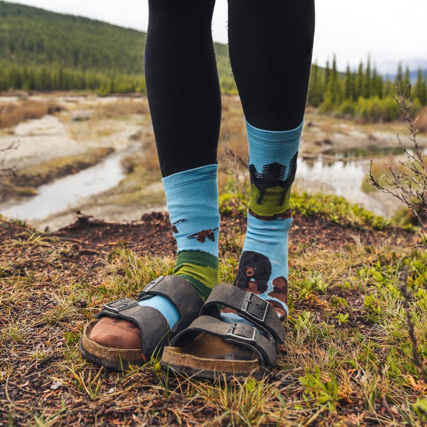 Friday Sock Co. - Women's Socks | Canadian Shield