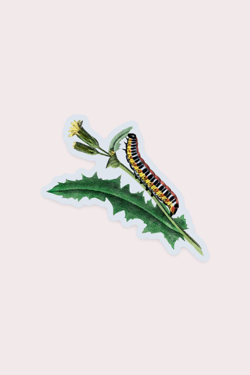 Stay Home Club - NOSY CATERPILLAR Gap Filler Sticker
