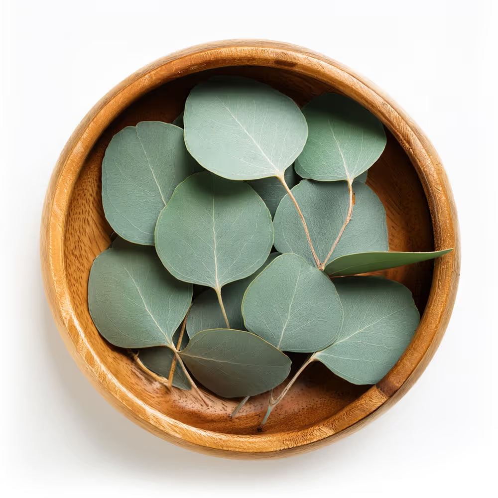 Wild Rose - MOISTURIZER