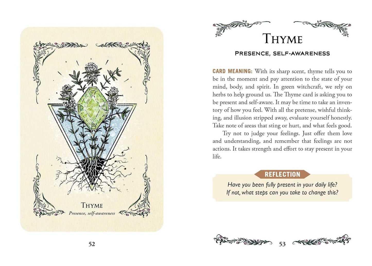 THE GREEN WITCH'S ORACLE DECK - Embrace the Wisdom and Insight of Natural Magic