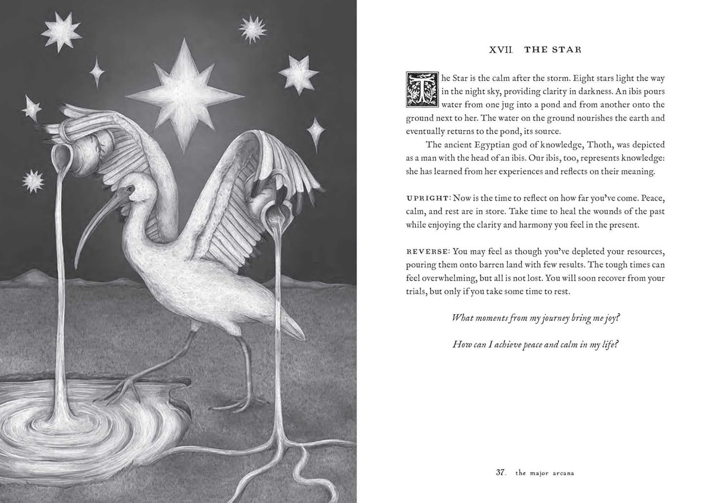 TAROT OF THE WOODLAND WARDENS - 78-Card Deck & Guidebook