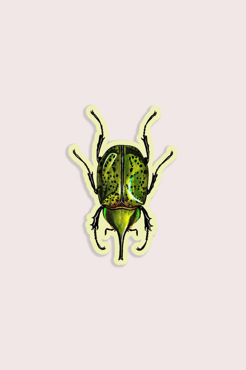 Stay Home Club - BLISSFUL BEETLE Gap Filler Sticker