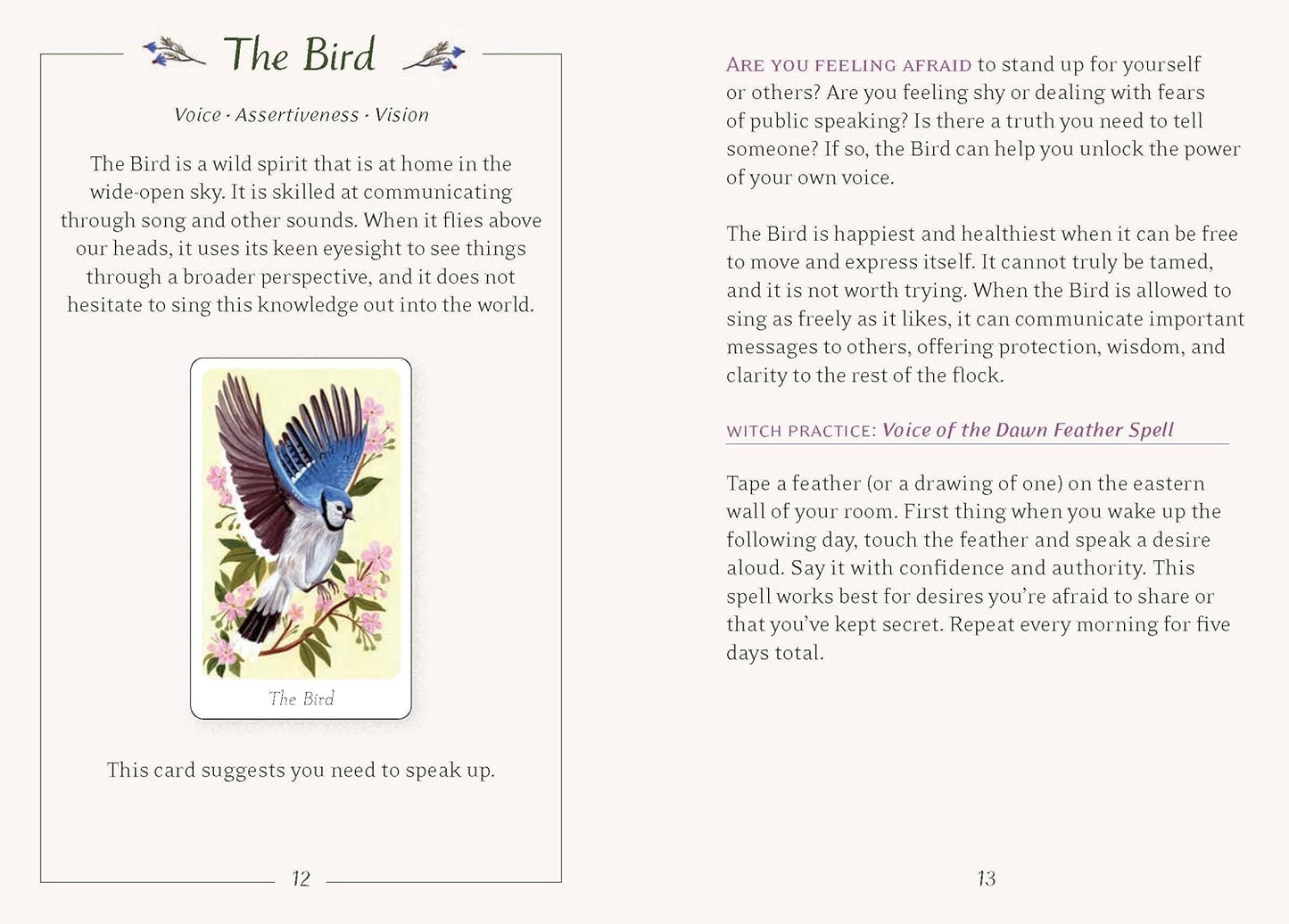 THE LITTLE WITCH'S ORACLE DECK - Symbols, Spells, and Rituals for the Young Witch