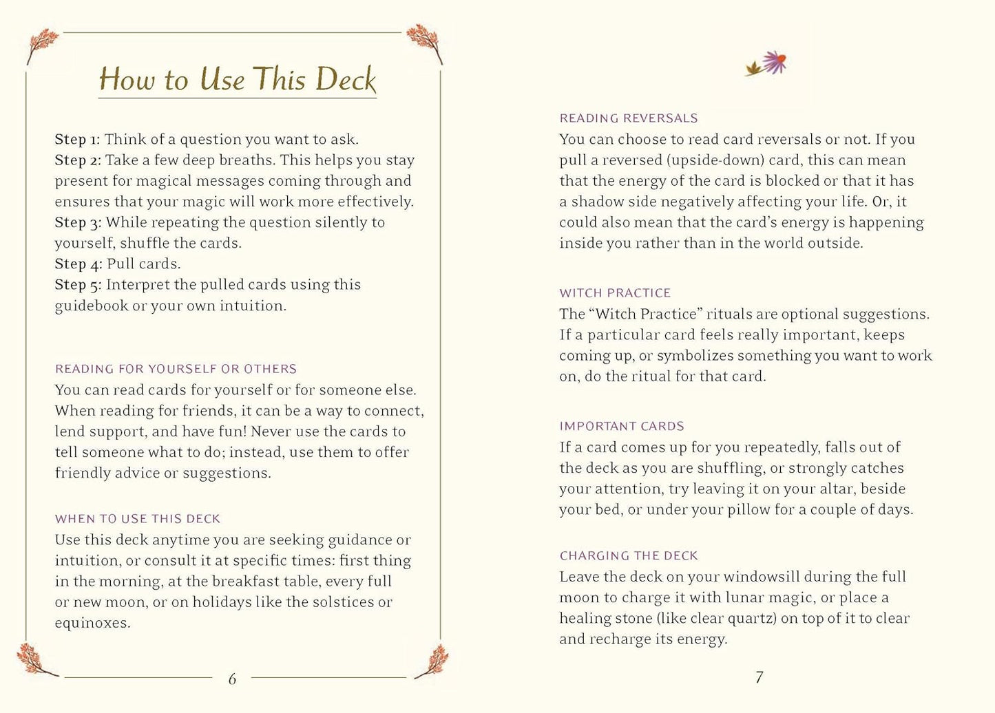 THE LITTLE WITCH'S ORACLE DECK - Symbols, Spells, and Rituals for the Young Witch
