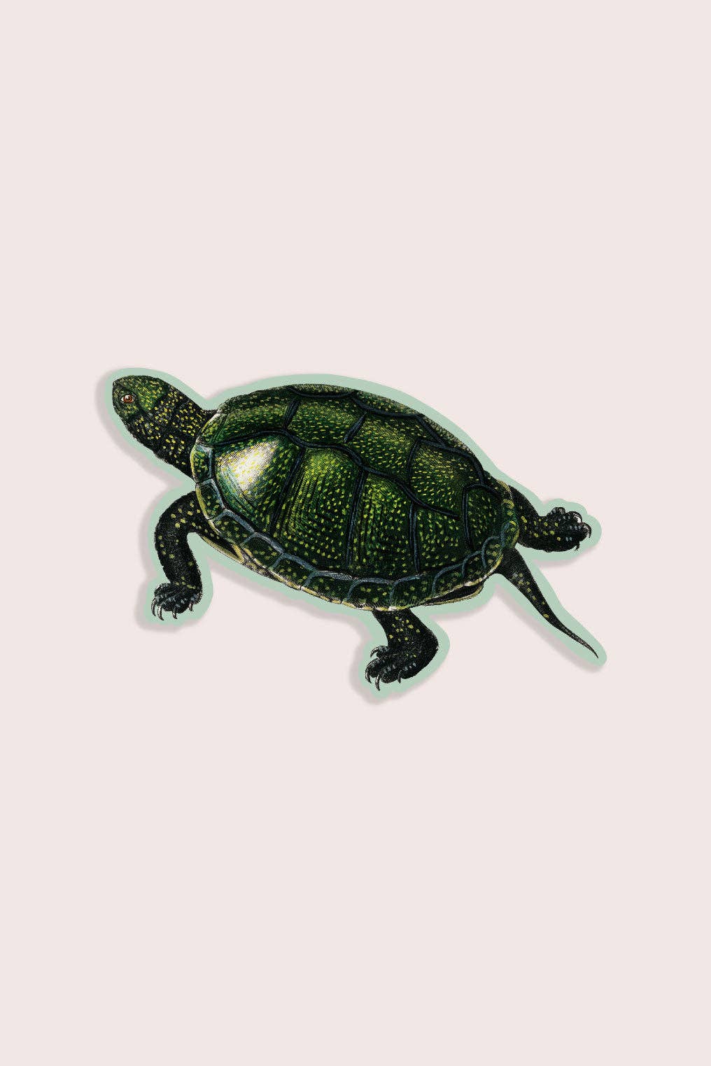 Stay Home Club - TOTAL TURTLE Gap Filler Sticker