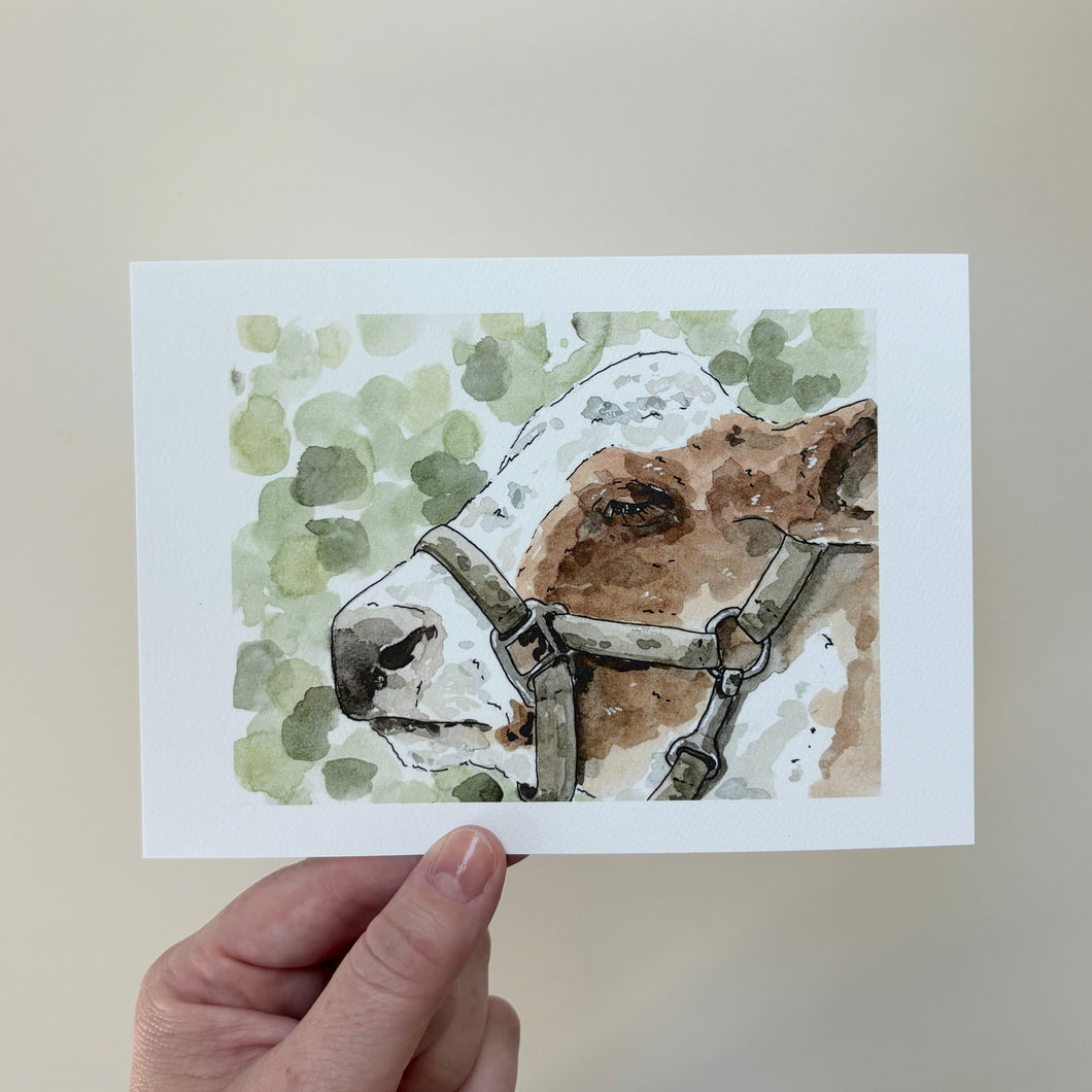 Critter Co. - COW Print (5