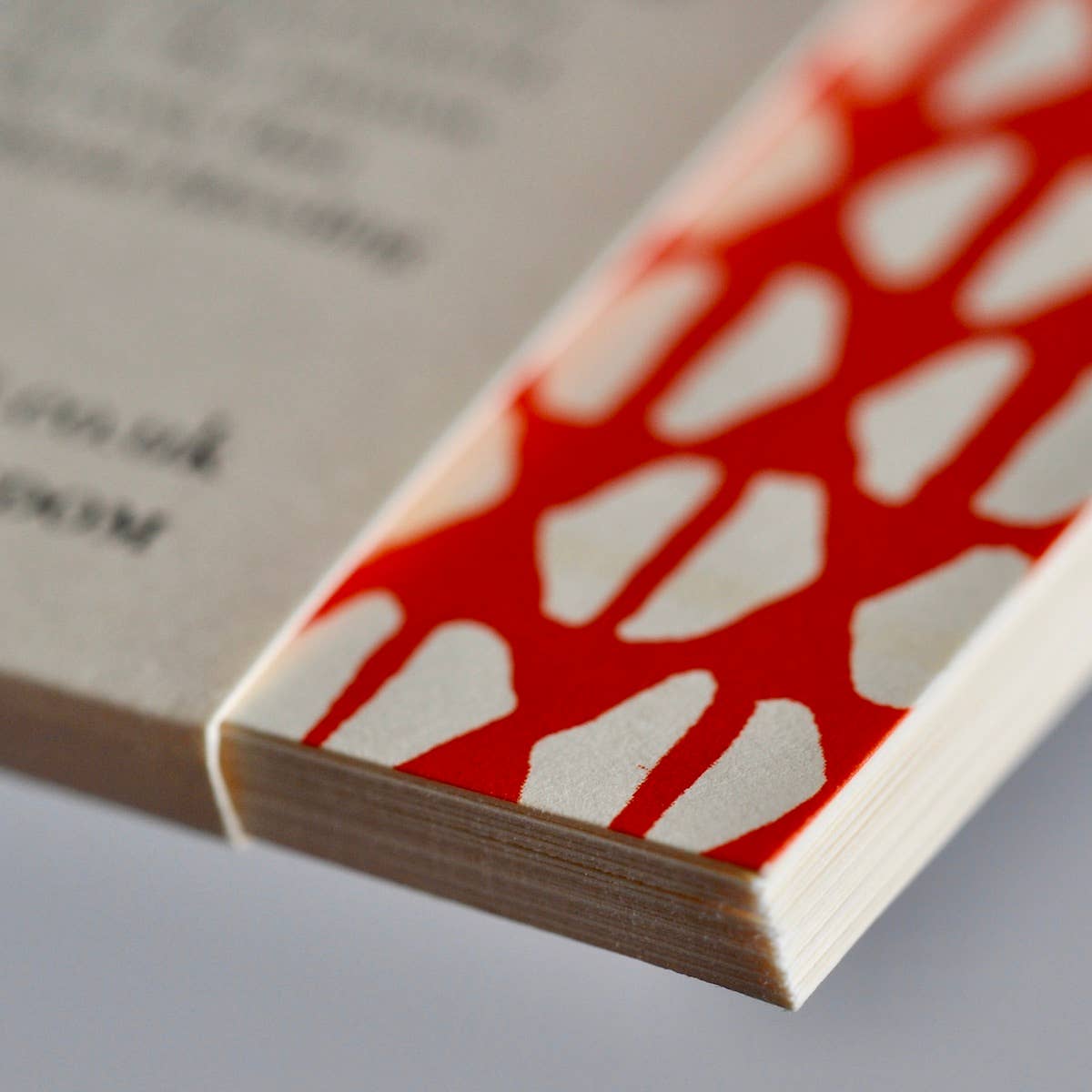 Cambridge Imprint - POCKET NOTEBOOK Yo-Yo Tomato