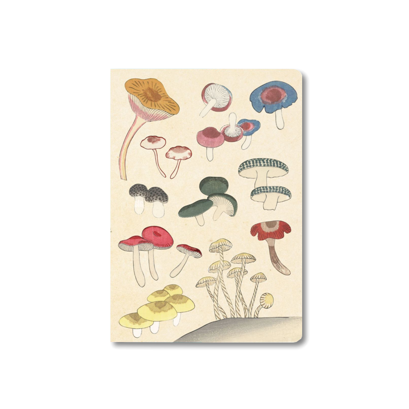 TUTTLE - HEALING MUSHROOMS Notebook