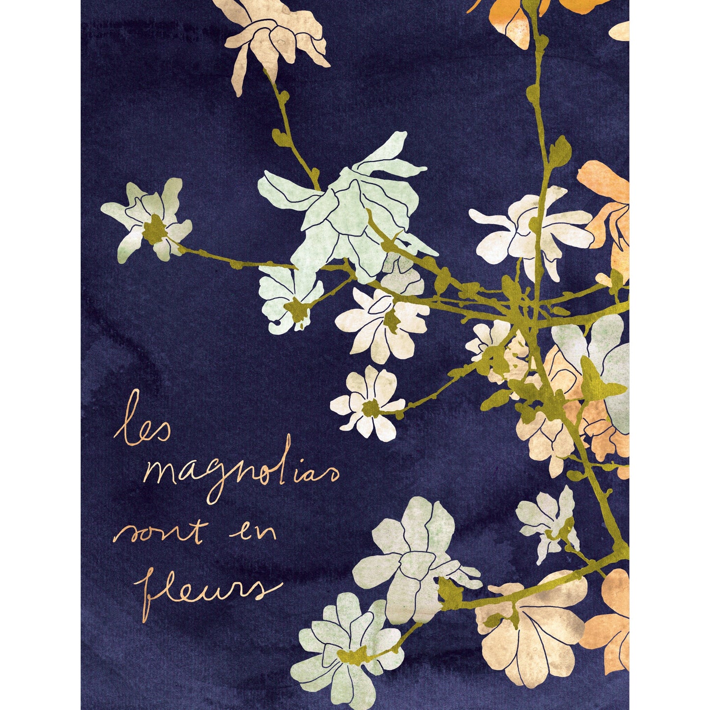 Annick Gaudreault - MAGNOLIAS Art Print