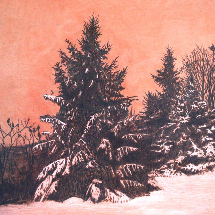 snowy trees in rotary park 13