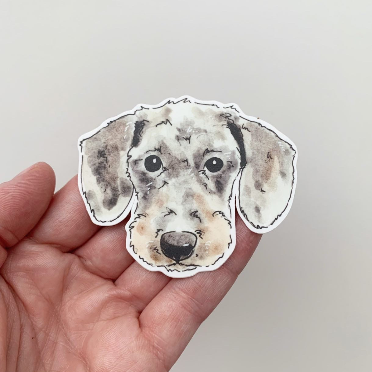 Critter Co. - DACHSHUND DOG Sticker