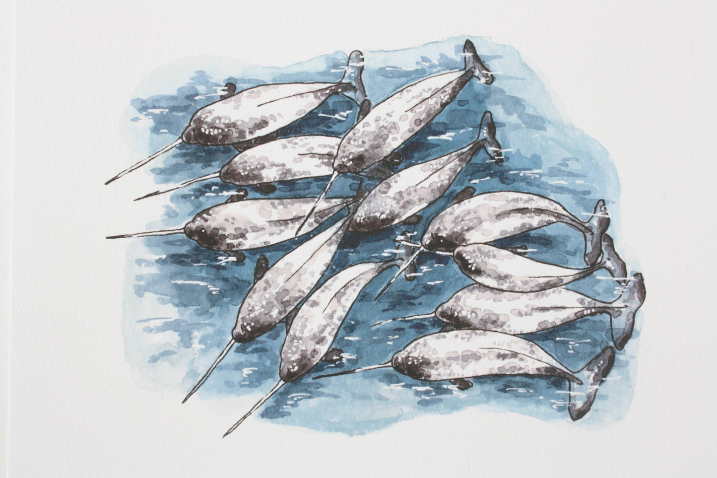 Critter Co. - POD OF NARWHALES Print (5" X 7")