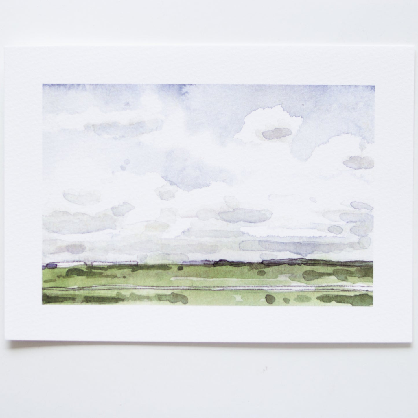 Critter Co. - PRAIRIE GRASSES Print (5" X 7")