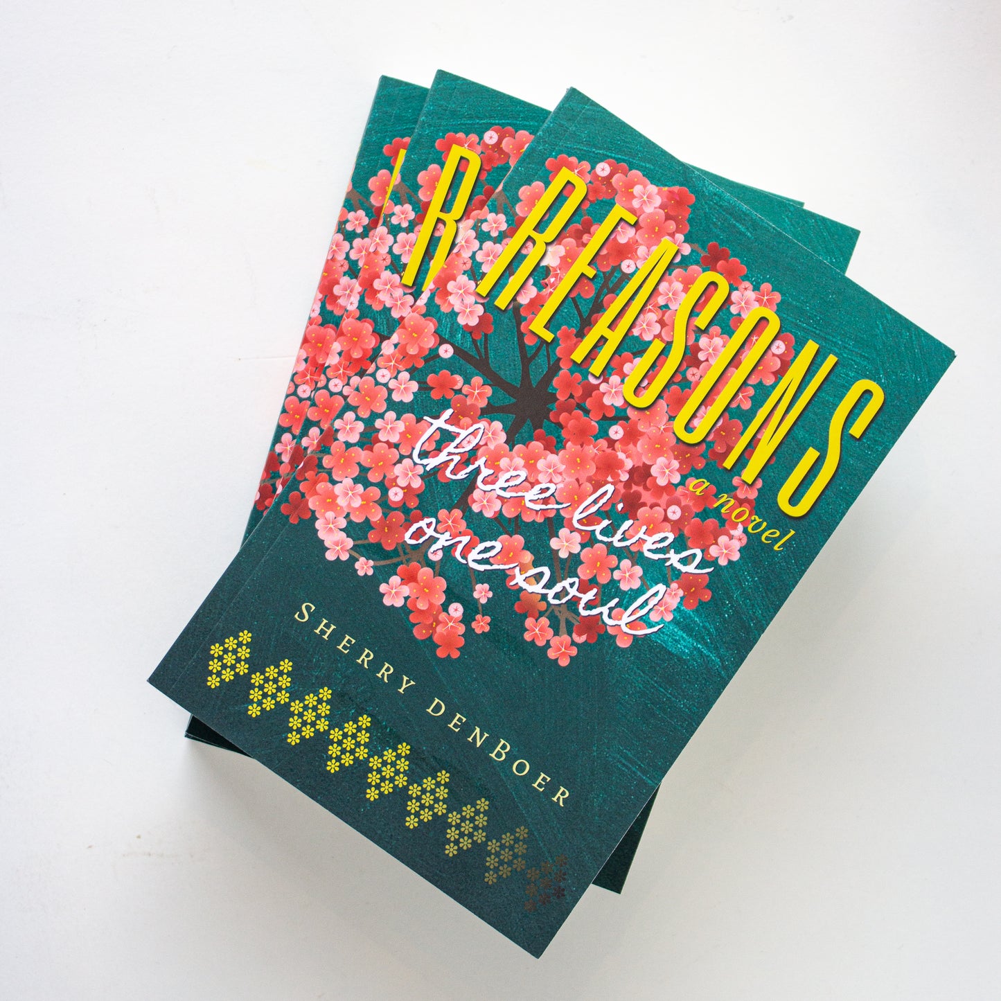 Sherry DenBoer - Reasons: Three Lives One Soul