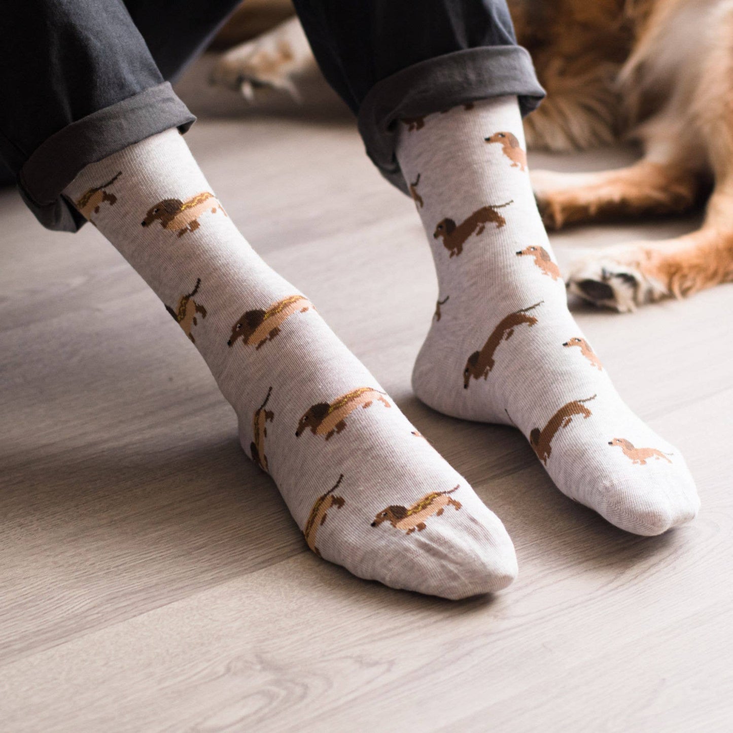 Friday Sock Co. - Men's Hot Dog Wiener Dog Socks
