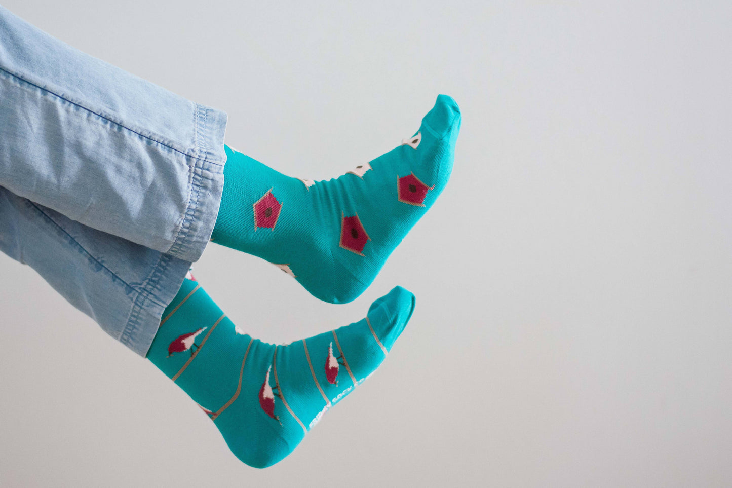Friday Sock Co. - Women's Socks | Bird & Birdhouse