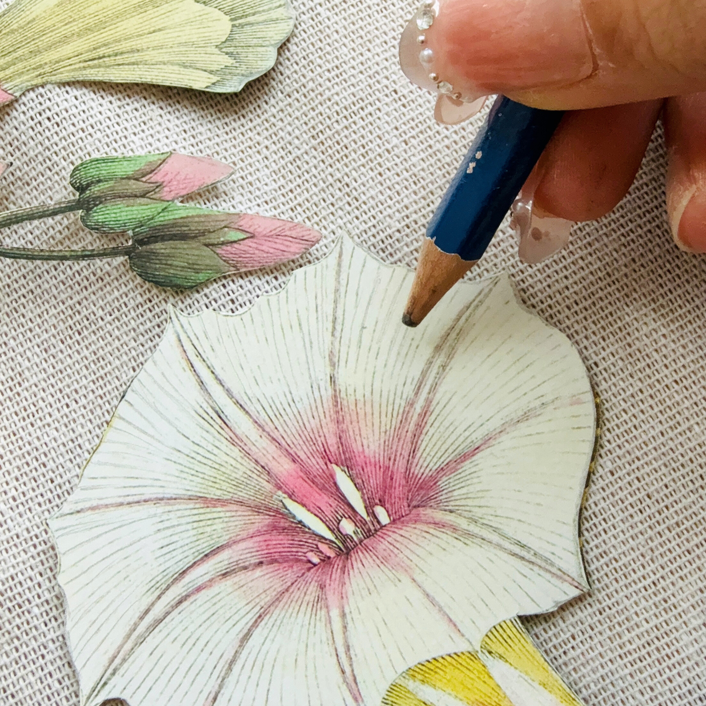 Clever Clippings - Ghibli Inspired: Howl & Sophie - What if You Fly (12" X 16")