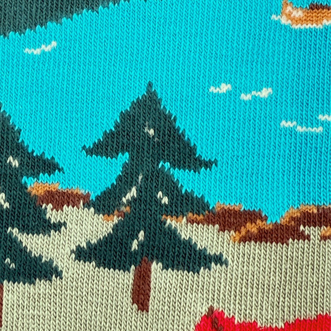 Friday Sock Co. - Women's Canada Mountain Scene Socks