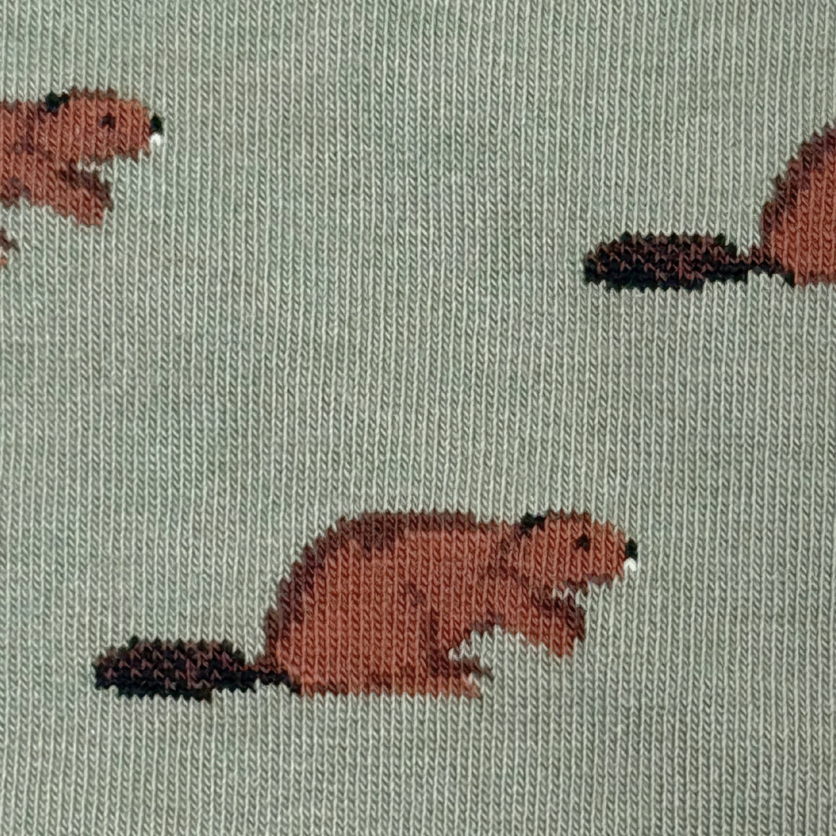 Friday Sock Co. - Men's Beaver & Log Mismatched Socks