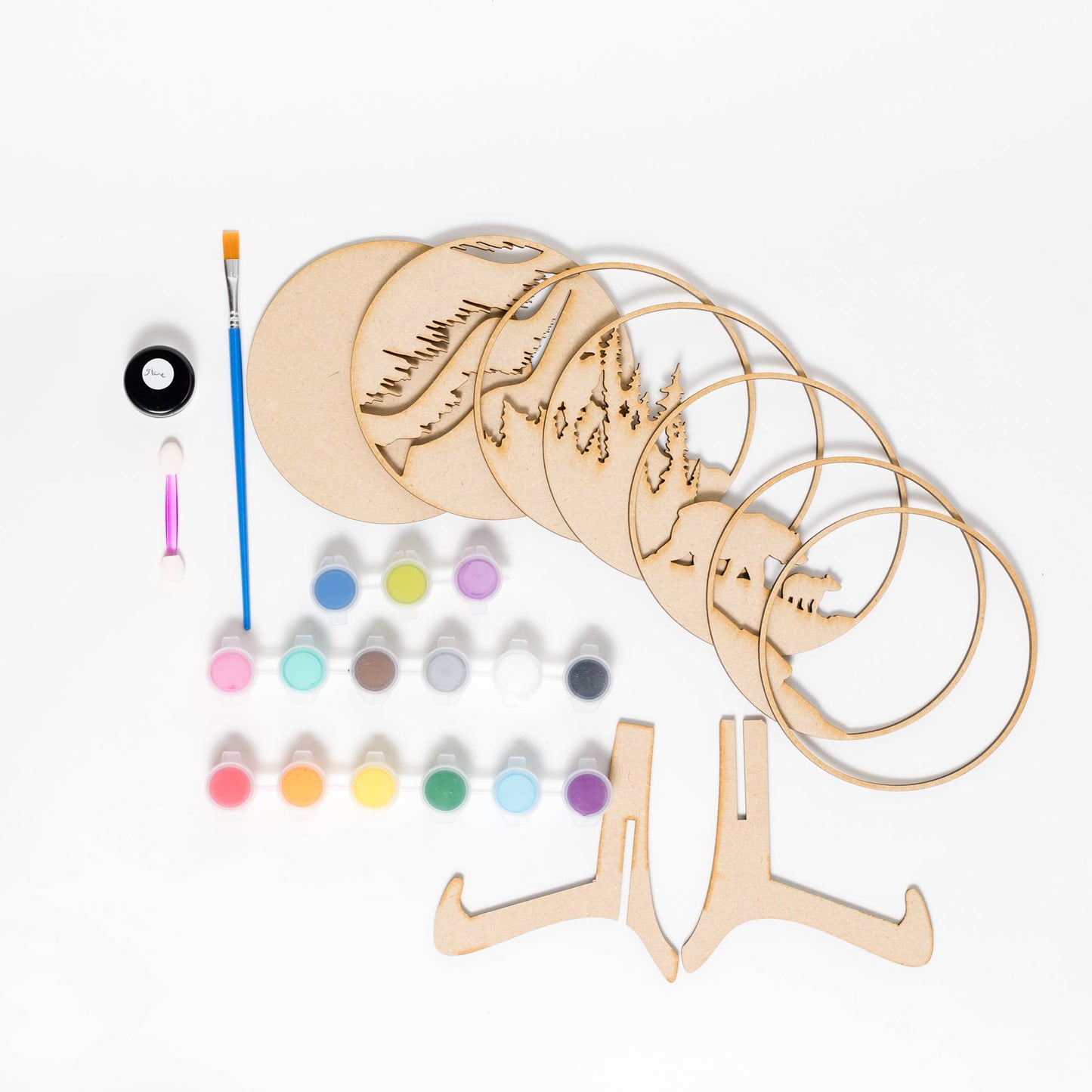 Fungi Shadow Box Kit