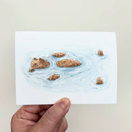 Critter Co. - BEAR-LY FLOATING Card