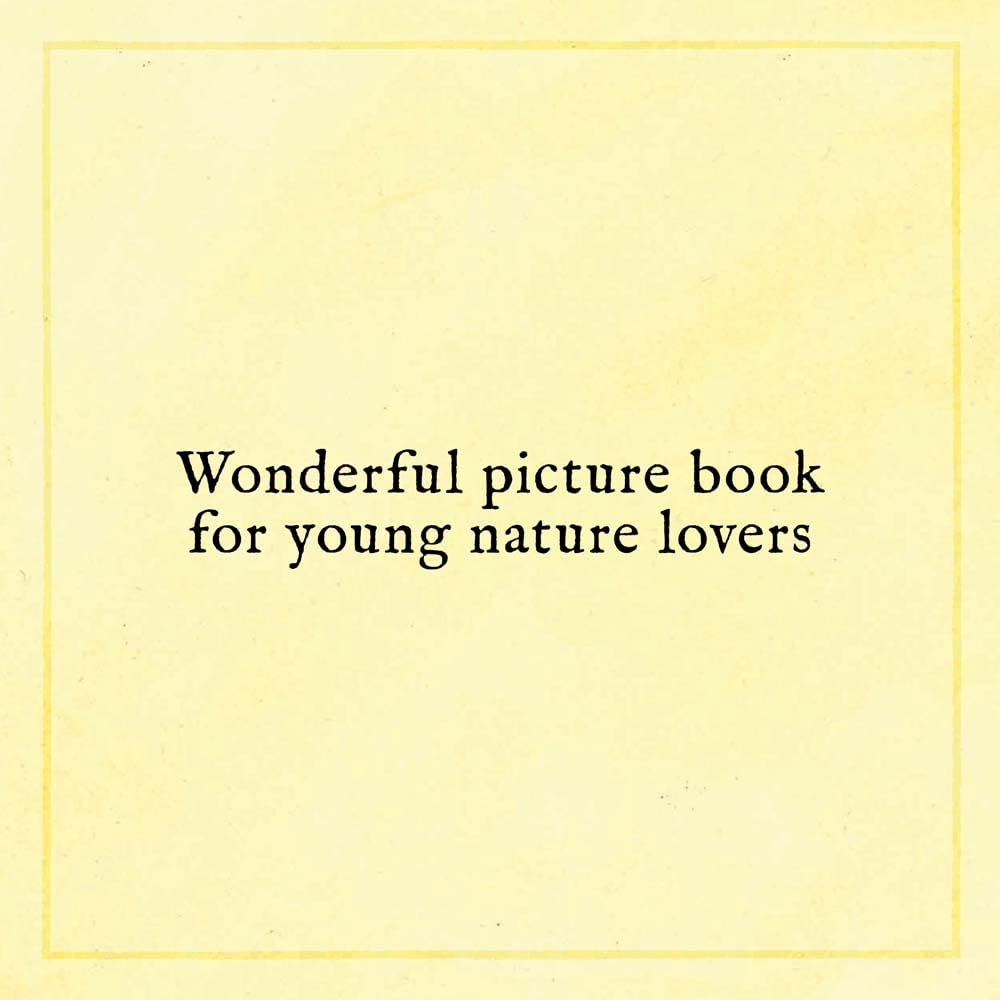 WHEN YOU FIND THE RIGHT ROCK - Hardcover Picture Book