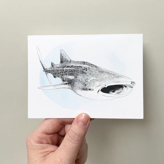Critter Co. - WHALE SHARK Card