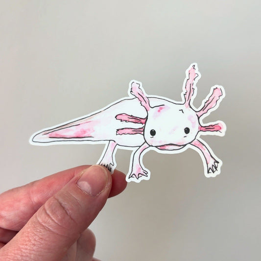 Critter Co. - AXOLOTL Sticker