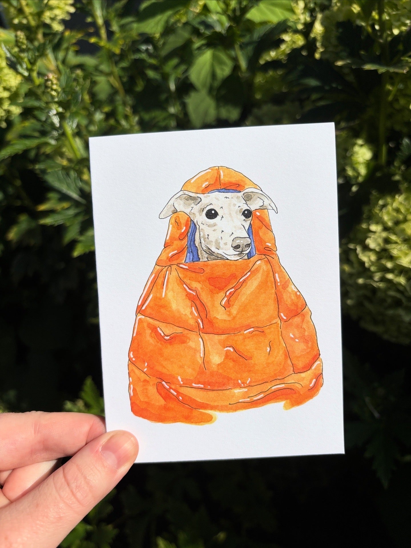 Critter Co. - SLEEPING BAG HOUND Card