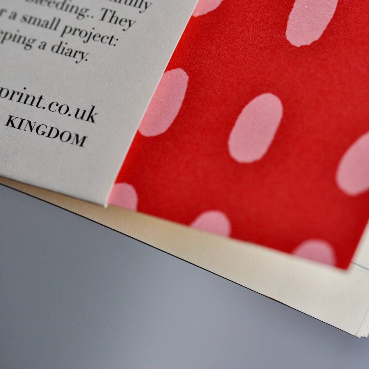 Cambridge Imprint - EXERCISE BOOK Bean Summer Pudding (Lined)