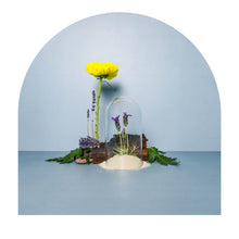 Watson & Lou - Lavender + Ylang Soy Candle