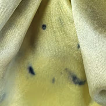 Wild Rose - PILLOW CASE