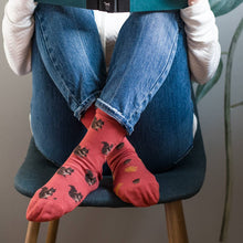 Friday Sock Co. - Women’s Socks | Squirrel, Acorn & Leaf