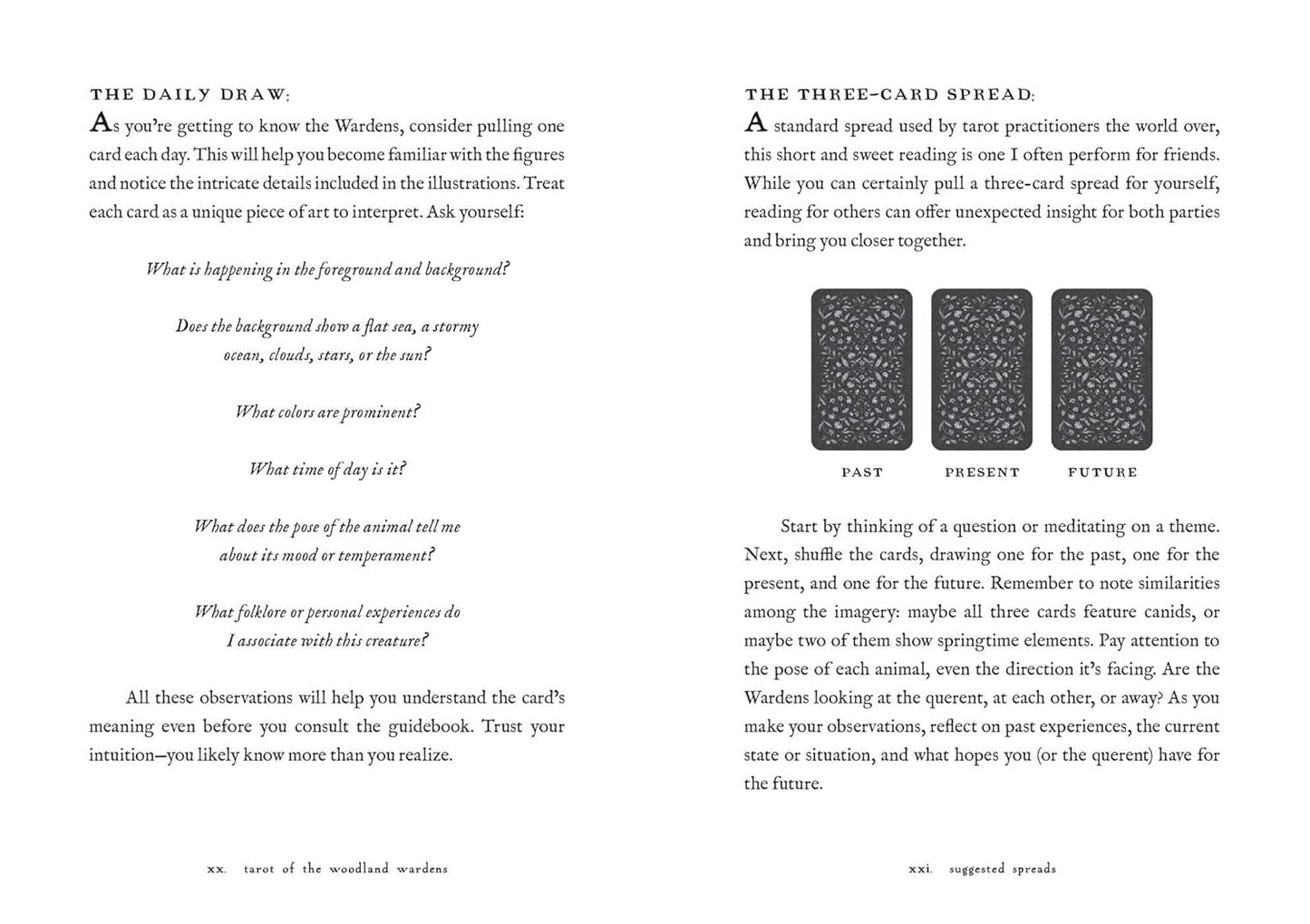 TAROT OF THE WOODLAND WARDENS - 78-Card Deck & Guidebook