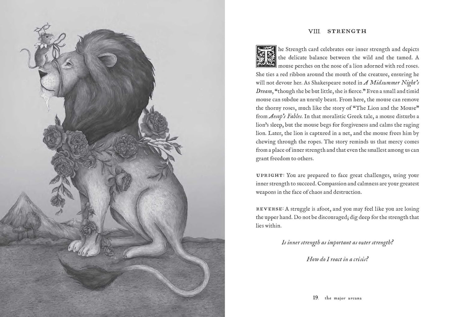 TAROT OF THE WOODLAND WARDENS - 78-Card Deck & Guidebook