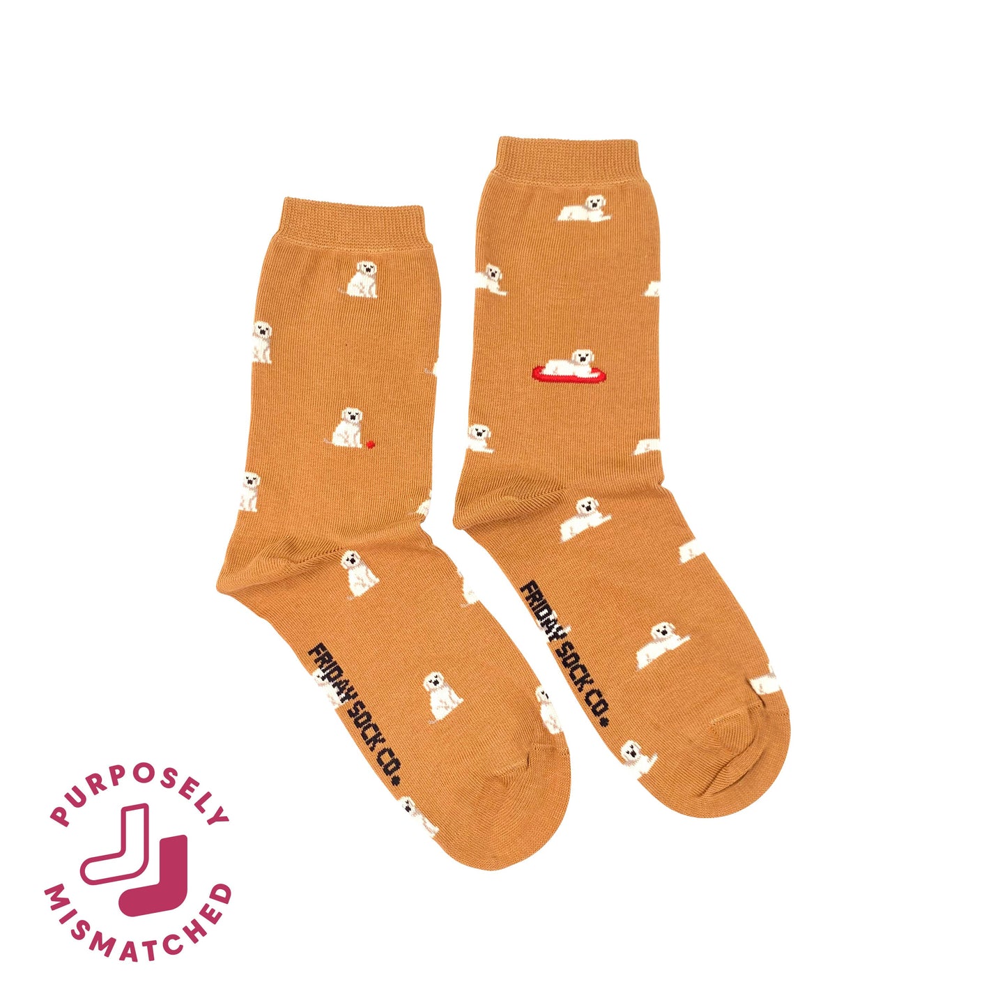 Friday Sock Co. - Women's Socks Tiny Golden Dog