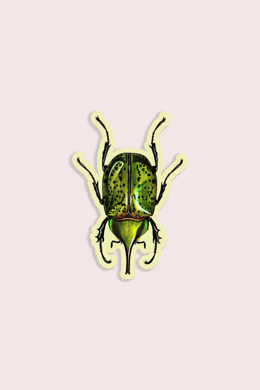 Stay Home Club - BLISSFUL BEETLE Gap Filler Sticker