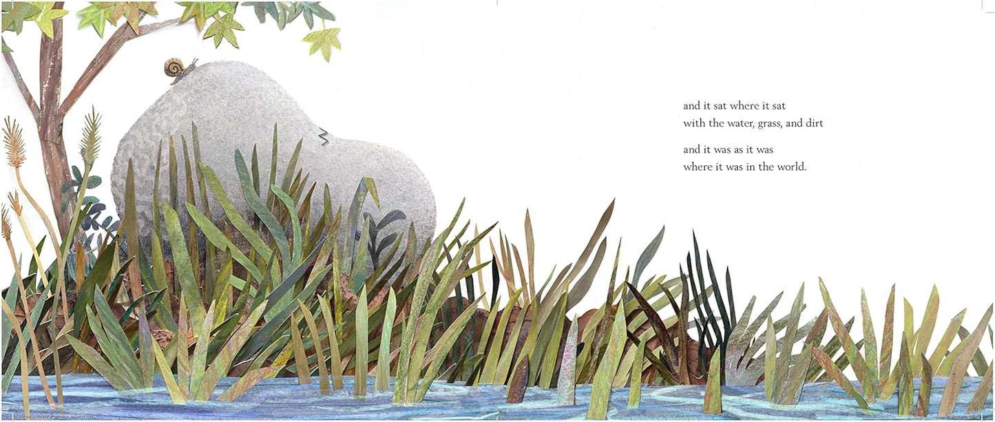 A STONE SAT STILL - Environmental and Nature Picture Book for Kids