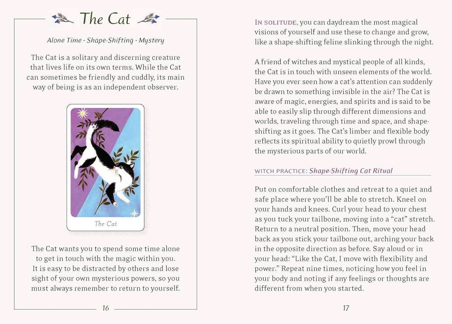 THE LITTLE WITCH'S ORACLE DECK - Symbols, Spells, and Rituals for the Young Witch