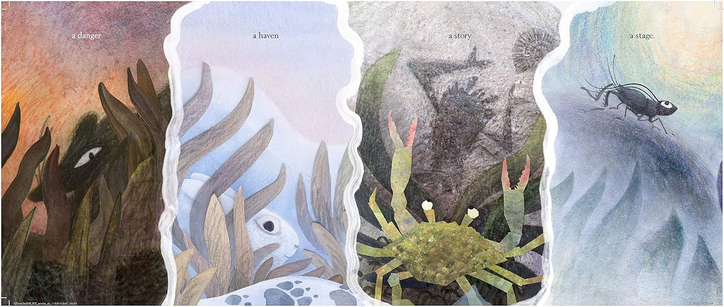 A STONE SAT STILL - Environmental and Nature Picture Book for Kids