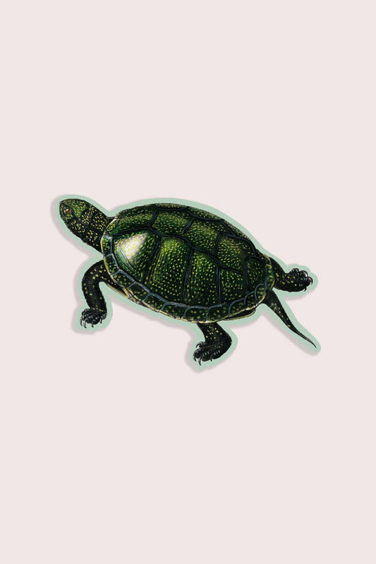 Stay Home Club - TOTAL TURTLE Gap Filler Sticker