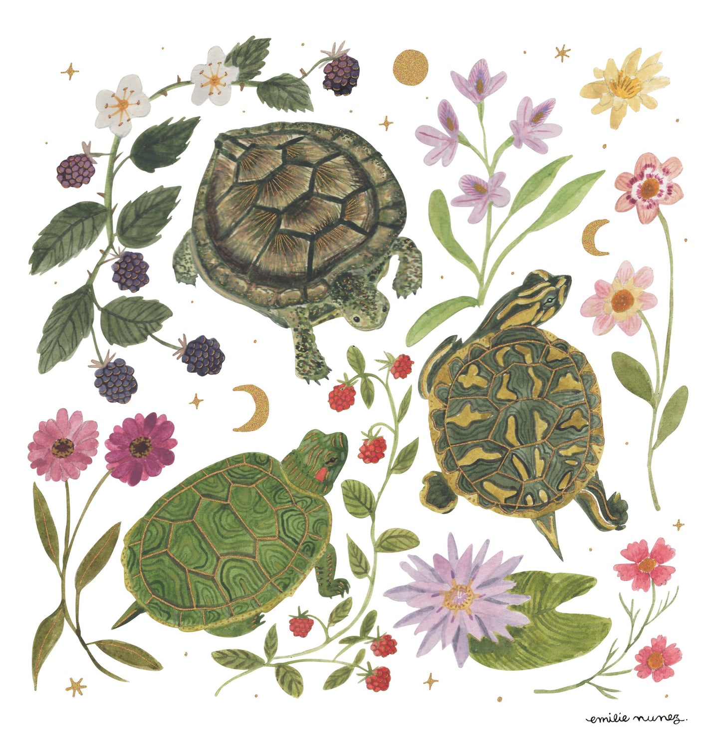 Emilie Nunez - Turtles Art Print with Gold Foil