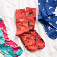 Friday Sock Co. - Women’s Socks | Squirrel, Acorn & Leaf