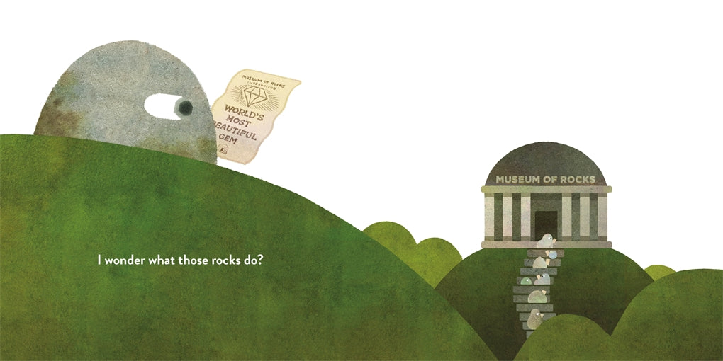 HIDDEN GEM - Hardcover Picture Book