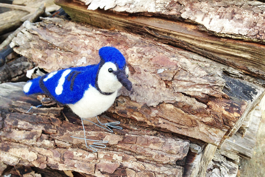 Lunenburg Makery - BLUE JAY Needle Felting Kit