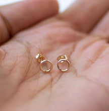 Feeding on Frost - Circle Studs (14k Yellow Gold Filled)