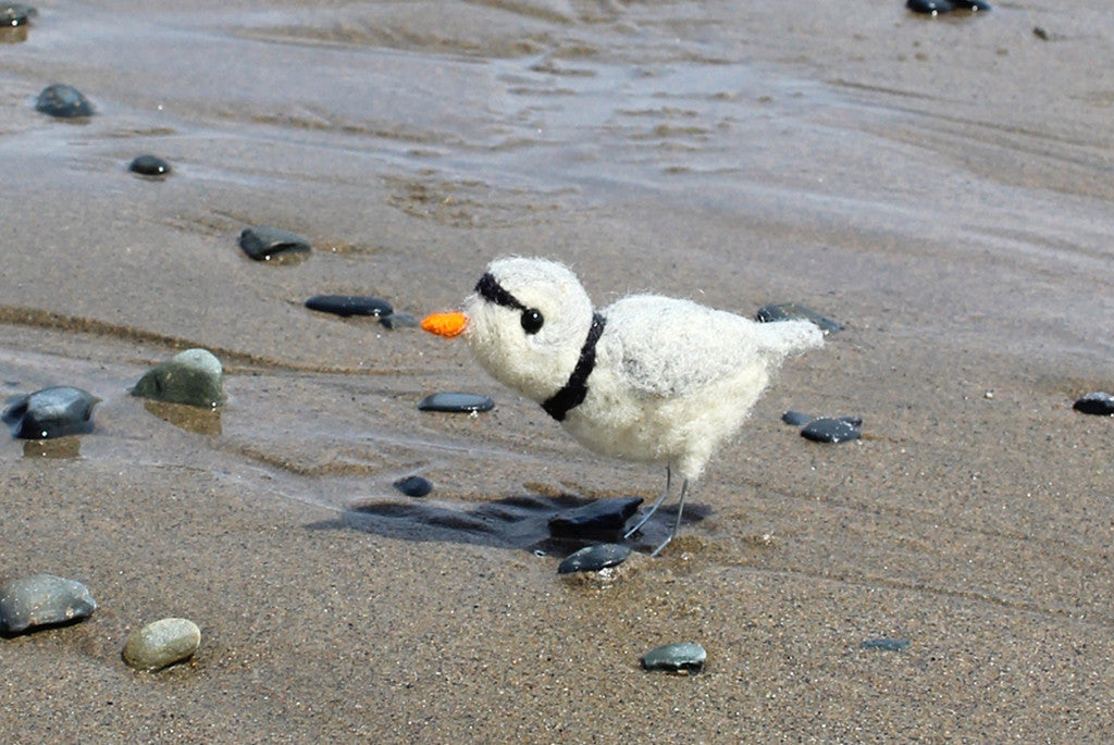 Lunenburg Makery - PIPING PLOVER Needle Felting Kit