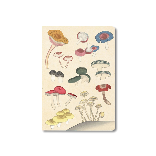 TUTTLE - HEALING MUSHROOMS Notebook