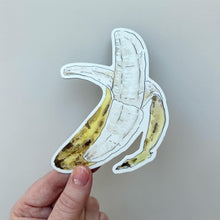 Critter Co. - BIG BANANA Magnet